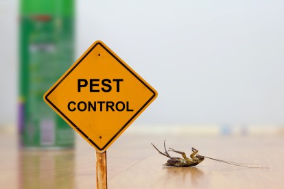 Pest Contol in Uxbridge, Cowley, UB8. Call Now 020 8166 9746